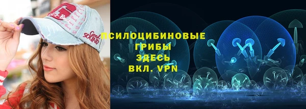ешки Абинск