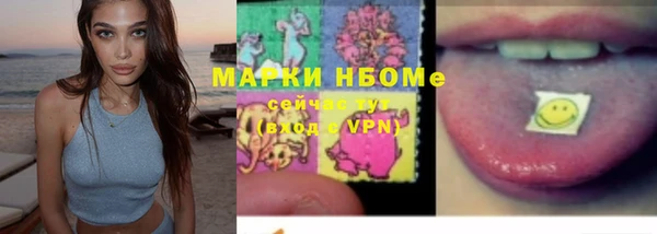 гашик Михайловск