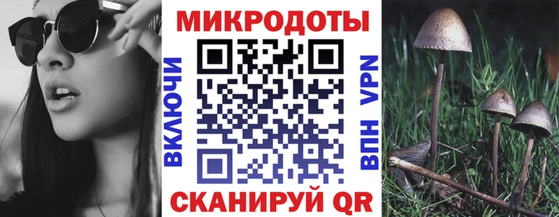 Псилоцибиновые грибы мицелий  Назрань 