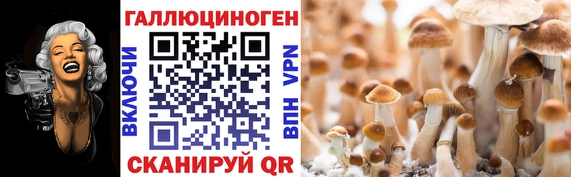 Галлюциногенные грибы MAGIC MUSHROOMS Назрань
